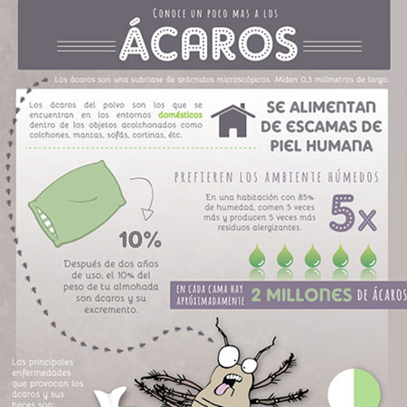 Los ácaros – Infografía